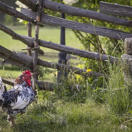 Farm stay Taattisten Tila Merimasku